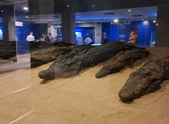 Egypt Highlights Tour: Nile Cruise & Red Sea Escape