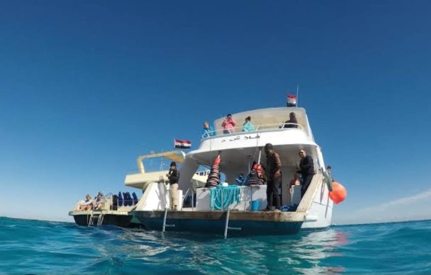 Hurghada Orang Bay Island Sea Trip